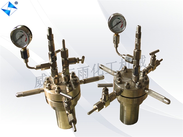 江蘇高壓水熱反應(yīng)釜